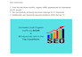 monthly local SEO service for your local business website